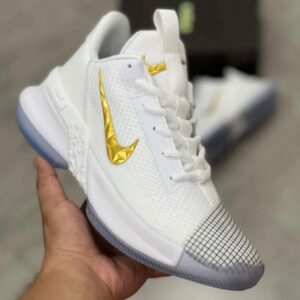 LeBron Ambassador 13